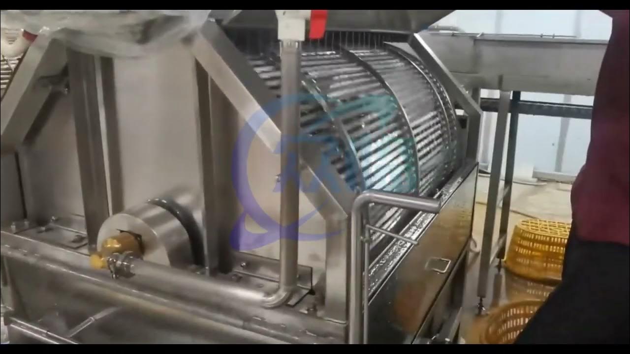 fish scaling machine, fish descaling machine, fishmachine 