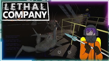 Modding Lethal Company was a Mistake! (2: electric Boogaloo)