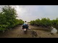 09 mangroves and monkeys  biking gambia  moto camping  honda cb 500  off road  paris to dakar