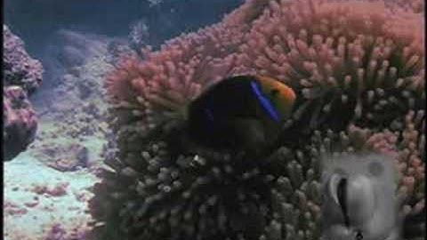 Microburst - Oceangoing music video