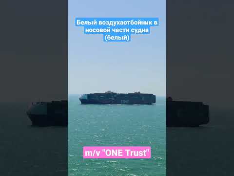 Интересное решение😎 #shorts #контейнеровоз #аэро #onetrust #судно #ship #vessel #море #maxmaster