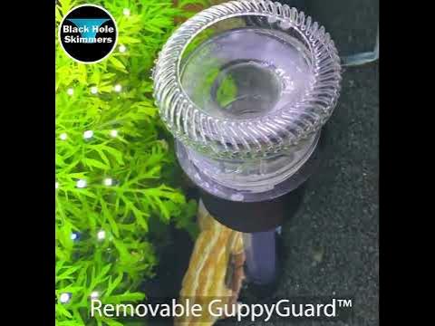 Black Hole Skimmer & Stand - Pond and Aquarium Surface Skimmer. - YouTube