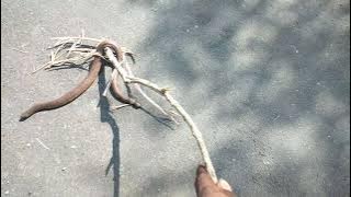 Download lagu 😱😱📸📸chakran SAP 📸👍 😱😱