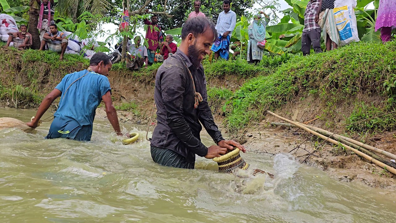 ৭৫হাজার টাকার পুকুরে সব দানবাকৃতির মাছ ধরা🐟Unbelievable Biggest Fishing🐟Fishing competition #fish