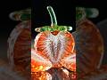 strawberry cutting by knife satisfying  video#cartoon #viral #ai #shorts #ytcreate