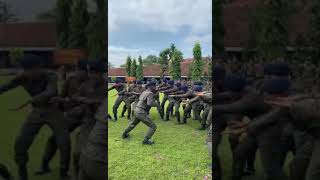 Download Lagu #merinding yel yel petarung brimob #polri MP3