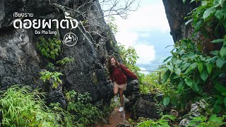 เที่ยวดอยผาตั้ง สัมผัสหมอกวิวน้ำโขงและอาหารจีนยูนนาน เชียงราย | EP.57 Doi Pha Tang