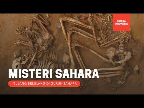 Video: 10 Rahasia Gurun Sahara Diungkap Oleh Arkeolog Modern - Pandangan Alternatif