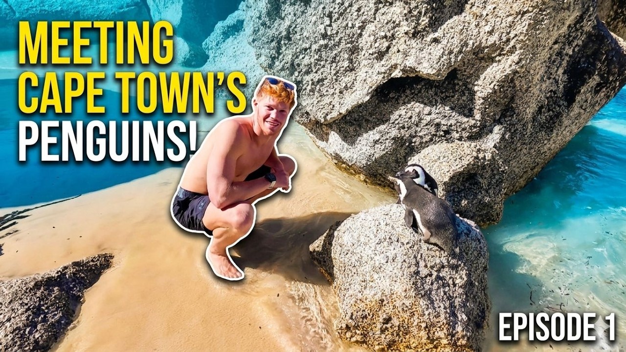 I Still Can't Believe This Penguin Beach Is Real! (Cape Town Ep. 1)