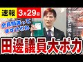 【速報 3/29】田邊議員は力がない 石丸市長がバッサリ 議員必携で大ポカをかましてしまった臨時会を終えて・・・(広島県安芸高田市議会)
