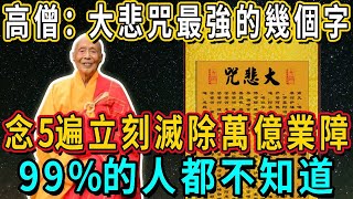 高僧終於說出來了大悲咒中最強的一句話念5遍即可滅除百千萬億劫的生死重罪99%的人都不知道丨佛談大小事