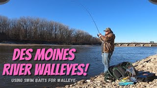 DES MOINES RIVER WALLEYES