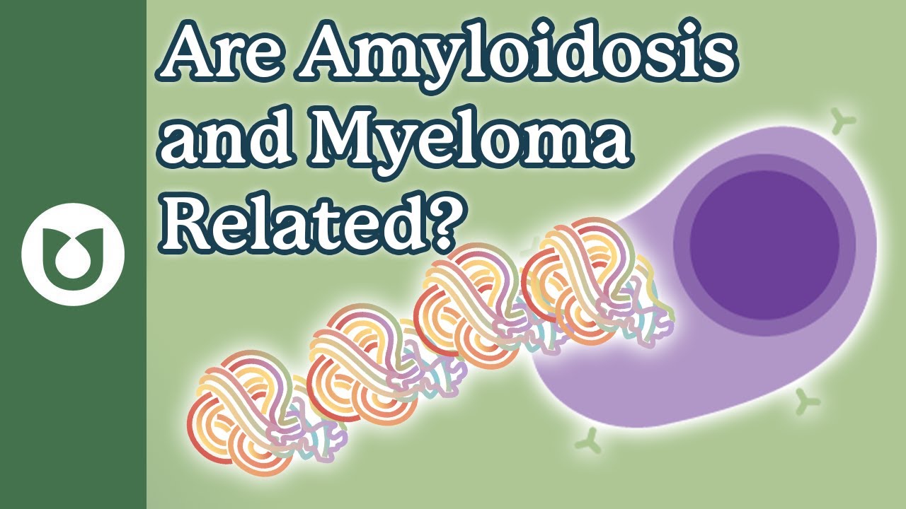 What’s the Connection Between AL Amyloidosis and Multiple Myeloma ...