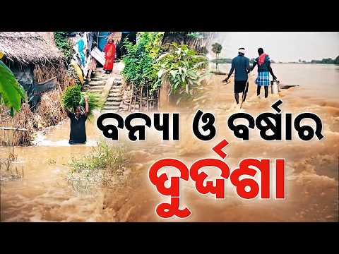 Flood Fury: 3 Districts Devastated | Balasore, Jajpur & Bhadrak Residents Face Crisis | Argus News