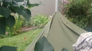 pup tent set up