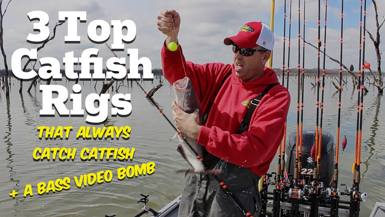 The 3 Top Catfish Rigs (That Always Catch Catfish) 