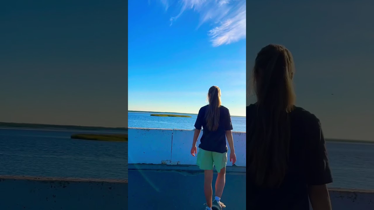 Овода не кусаются! 