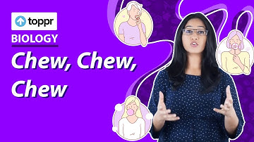 From Taste to Digestion | Chew, Chew, Chew | Class 5 EVS