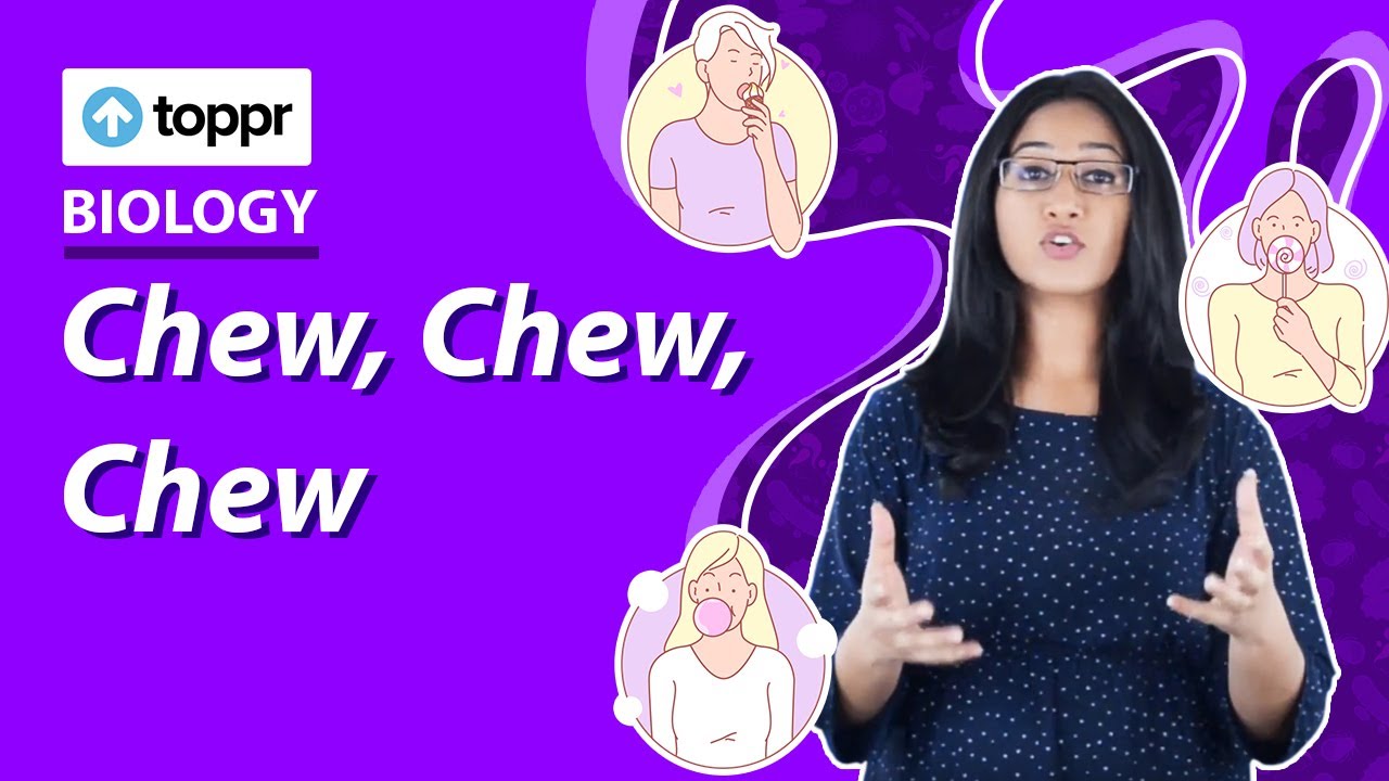 From Taste to Digestion | Chew, Chew, Chew | Class 5 EVS - YouTube