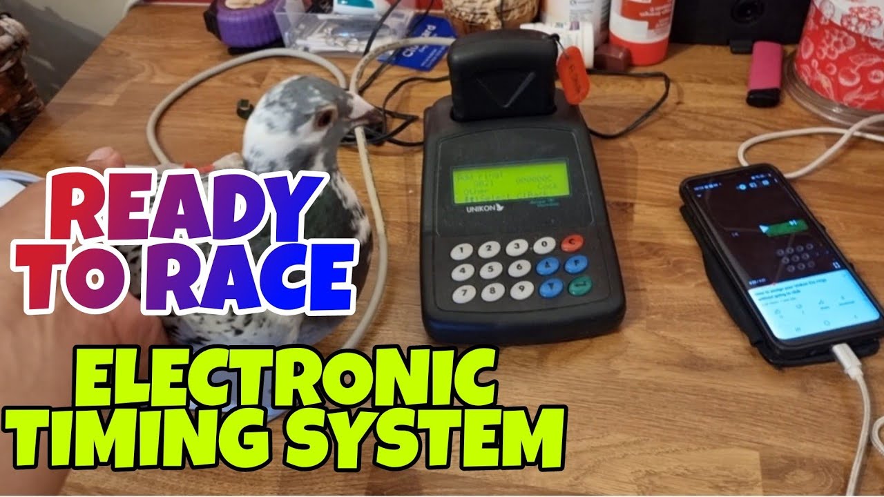 UNIKON ETS SET UP FOR THE RACEREMAINING YOUNG BIRDS RACING DESPITE BIG