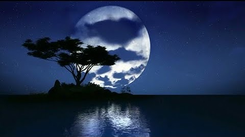 سورة القمر بصوت سالم الرويلي اروع ما سمعت
