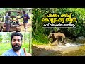 കൊല്ലപ്പെട്ട ആനയും കാറ് വീടാക്കിയ സബീലും | Pregnant Elephant Death | Route Records