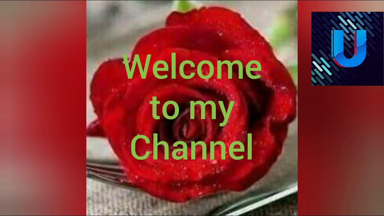 School bus ka colour yellow Kyu hota h? The Universe 7 YouTube