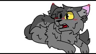 mmm, monkey (WARRIORS) @alphaofnuggets