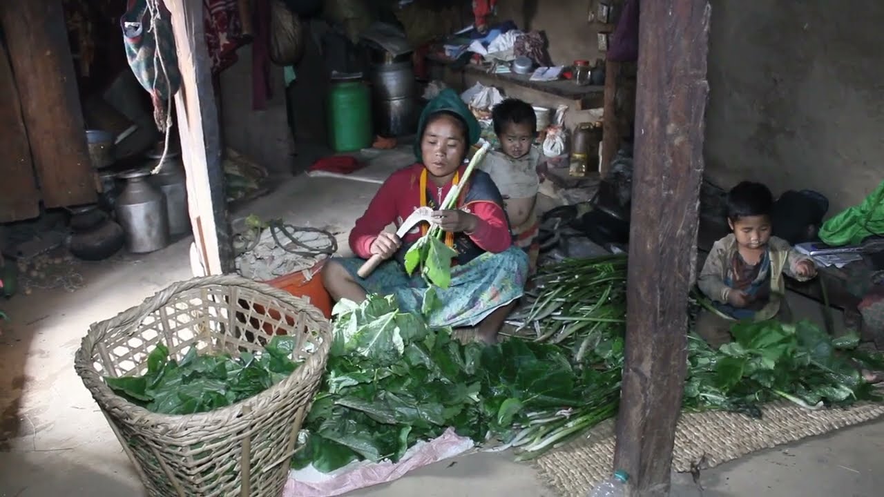 Myvillage official videos EP 403 || Cooking curry of wild green vegetables