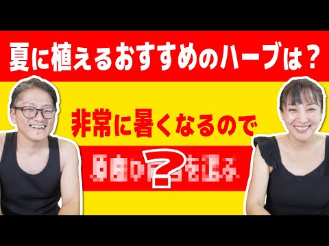テキサスの夏でも育つ！私が選んだ耐熱ハーブ5選と育て方のコツ