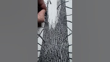 Drawing Tree Bark with a Rotring Technical Ink Pen on Watercolor Paper