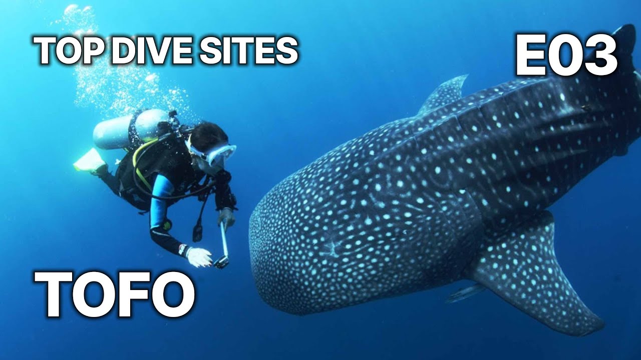 Top Dive Sites | S02 E03 Tofo | Exploring Mozambique’s Underwater Wonders
