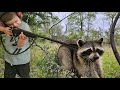 This 4 year old carries a guntrapping nuisance raccoons