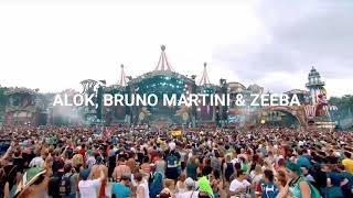 Alok, Bruno Martini - Hear Me Now ft. Zeeba (Sub Español)