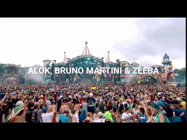 Alok, Bruno Martini - Hear Me Now ft. Zeeba (Sub Español)