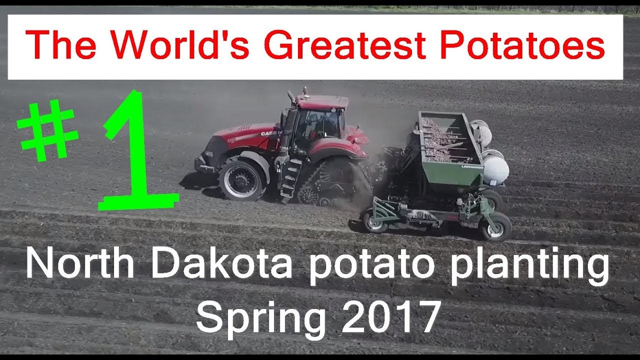 Potato planting in the Red River Valley of North Dakota YouTube