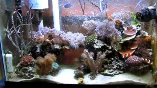 mvi_0243.avi