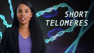 Telomere Biology Disorders Explained
