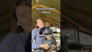 “Raising meat rabbits doesn’t have to be complicated 🐇 The secret isn’t fancy cages or special