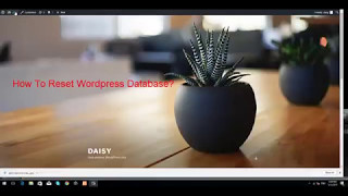 How To Reset your DataBase in Wordpress