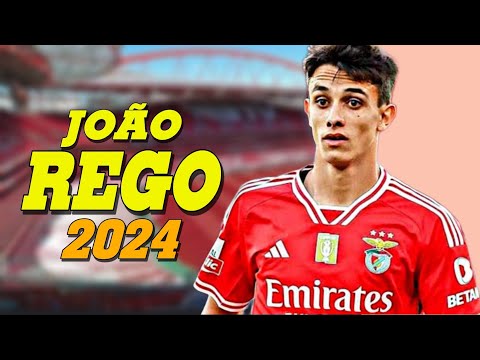 مهارات واهداف جواو ريجو لاعب بنفيكا البرتغالي 2024