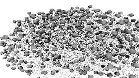 The brain as a network - Markus D Schirmer