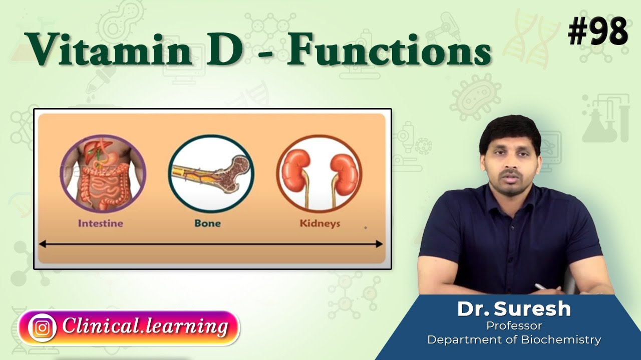 98. Vitamin D Functions YouTube