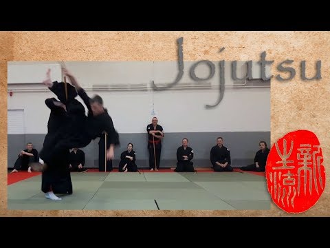 Aiki Jo -