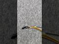 AF Archery New SiCai Bow Archery Chinesearchery AF Archery New SiCai Bow Archery Chinesearchery