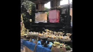 Bali prosesi “7 Bulanan”