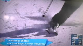 Φτερόλακας  Παρνασσου P1040416