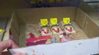 Mouse Trap Variations.MP4
