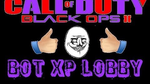 How to make a bot lobby in Black Ops2 2014 (Everything you need to know 100% explained)