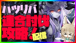 【 #ハツリバーブ 配信】年末連合討伐配信！今回はマニアック超えられるのか……！？【九菩符まあや】- #蒼霧殘響  #ハツリバーブ #hazereverb #苍雾残响-